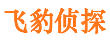 集美市调查公司